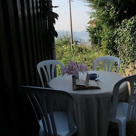 Casa Do Moleiro Guest House Cinfaes Ngoại thất bức ảnh