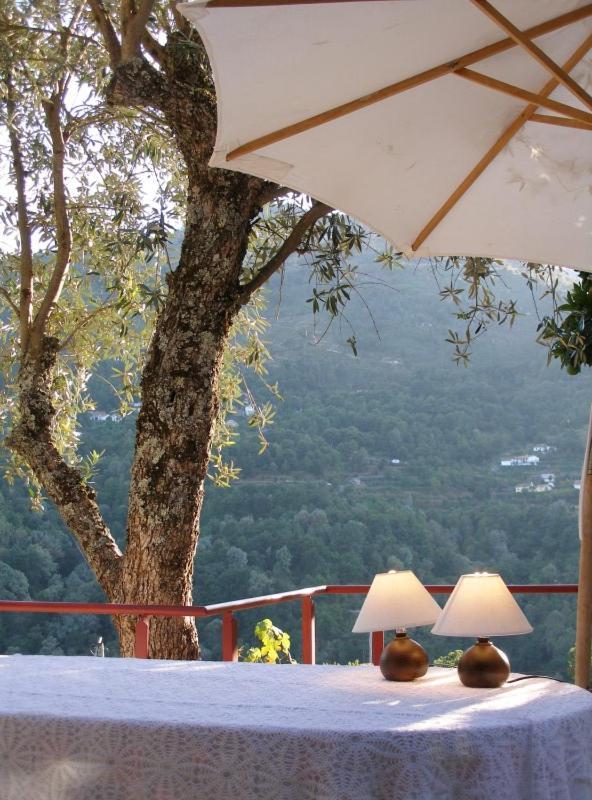 Casa Do Moleiro Guest House Cinfaes Ngoại thất bức ảnh